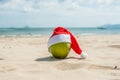 Merry Christmas and Happy New Year on the summer beach. Coconut in santa hat. Palms and blue sky on the background Royalty Free Stock Photo