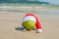 Merry Christmas and Happy New Year on the summer beach. Coconut in santa hat. Palms and blue sky on the background Royalty Free Stock Photo