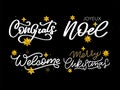 Merry Christmas set 2023 Happy New Year, typography lettering badge emblems quotes set collection. Vector logo design Royalty Free Stock Photo