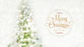 Merry Christmas and happy new year wreath with golden glitter te