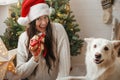 Merry Christmas! Happy woman in santa hat holding christmas gift with cute dog at stylish christmas tree. Pet and winter holidays Royalty Free Stock Photo