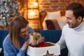 Merry Christmas. Happy young couple playing with Pomeranian Spitz dog sitting near beautiful Christmas tree at home Royalty Free Stock Photo