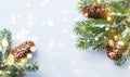 Merry Christmas holiday card or banner with snowy fir branches and conifer cones. Magic bokeh lights Royalty Free Stock Photo