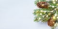 Merry Christmas holiday card or banner with snowy fir branches and conifer cones. Magic bokeh lights Royalty Free Stock Photo