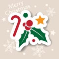 Merry Christmas icon. Holiday xmas symbols. Isolated sticker. Happy new year icons, web banner. Flat vector. Candy can, berry Royalty Free Stock Photo