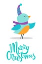 Merry Christmas Birdie, Title Vector Illustration