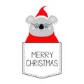 Merry Christmas. Koala face head. Red Santa hat, sweater, glasses. T-shirt pocket. Kawaii animal. Cute cartoon bear funny baby Royalty Free Stock Photo