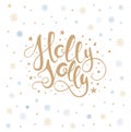 Merry christmas lettering over with snowflakes. Hand drawn text, calligraphy for your design. xmas design overlay elements Royalty Free Stock Photo