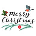 Merry Christmas. Lettering with spruce branch and bird