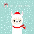 Merry Christmas. Llama alpaca baby face. Santa Claus red hat, scarf. Cute cartoon funny kawaii character. Happy New Year. Snow Royalty Free Stock Photo