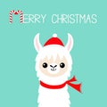 Merry Christmas. Llama alpaca baby face. Santa Claus red hat, scarf. Happy New Year. Cute cartoon funny kawaii character. Greeting Royalty Free Stock Photo