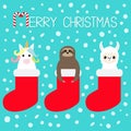 Merry Christmas. Llama alpaca, sloth, unicorn in red sock. Snow flake. Cute cartoon funny kawaii character. Happy New Year. T-