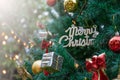 Merry christmas logo on the tree for chiristmas time Royalty Free Stock Photo