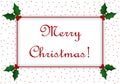 Merry Christmas Message