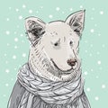 Merry Christmas New Year`s card design Scandinavian style White dog in a grey knitted sweater. Shepherd. Sketch drawing. Black co Royalty Free Stock Photo