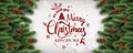 Merry Christmas and New Year Typographical on white background with fir branches, berries, lights, snowflakes. Royalty Free Stock Photo