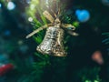 Merry Christmas ornaments, golden bell hanging on green christmas tree Royalty Free Stock Photo