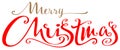 Merry Christmas ornate lettering text for greeting card