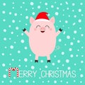Merry Christmas. Pig piglet. Cute cartoon funny baby character. Hog swine sow animal. Santa hat. Chinise symbol of 2019 new year. Royalty Free Stock Photo