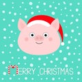 Merry Christmas. Pig piglet face. Cute cartoon funny baby character. Hog swine sow animal. Santa hat. Chinise symbol of 2019 new Royalty Free Stock Photo