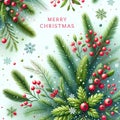 Merry christmas postcard concept with christmas tree branches and ashberries Royalty Free Stock Photo