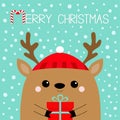 Merry Christmas. Raindeer deer head face holding gift box. Red hat, nose, horns. Happy New Year. Cute cartoon kawaii baby Royalty Free Stock Photo