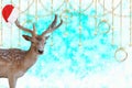 Merry christmas a reindeer with a santa claus bonnet on his antlers on a beautiful blue background with stars and snow cr Royalty Free Stock Photo