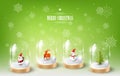 Merry Christmas with Santa Claus, Snowman and Reindeer in glass dome terrarium, green Snowflake background, vector illustration