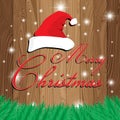 Merry Christmas and Santa`s cap on wooden background. Christmas tree on Lath boards background.