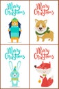 Merry Christmas Set of Posters with Funny Animals Royalty Free Stock Photo