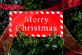 Merry Christmas sign hanging in the Christmas tree Royalty Free Stock Photo