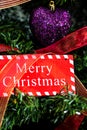 Merry Christmas sign hanging in the Christmas tree Royalty Free Stock Photo