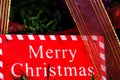 Merry Christmas sign hanging in the Christmas tree Royalty Free Stock Photo