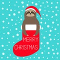 Merry Christmas. Sloth in red sock. Santa hat. Snow flake. Slow down, Cute cartoon funny kawaii lazy character. Happy New Year. T-