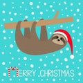 Merry Christmas. Sloth sitting hanging on branch. Santa hat. Face and hands. Cute cartoon character. Hello winter. Snowflake. Baby Royalty Free Stock Photo