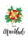 Merry Christmas Spanish Feliz Navidad holiday hand drawn quote calligraphy greeting card background template. Vector Christmas tre Royalty Free Stock Photo