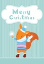 Merry Christmas squirrel Royalty Free Stock Photo