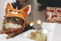 Merry Christmas! Sweet tabby cat in cute reindeer costume sitting at gifts in christmas lights