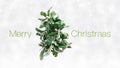 Merry Christmas text and green mistletoe with white berries isolated on snowing background, white Christmas concept template for Royalty Free Stock Photo