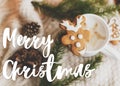 Merry Christmas text handwritten on reindeer gingerbread cookie on coffee at knitted sweater, pine cones, fir branches and