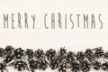 Merry Christmas text on modern christmas flat lay with green fir Royalty Free Stock Photo