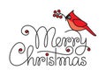 Merry christmas text with red robin bird and branch Royalty Free Stock Photo