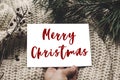merry christmas text sign, greeting card. hand holding empty christmas card with space for text, template on knitted sweater and Royalty Free Stock Photo