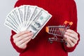 Merry Christmas time concept. Cropped close up photo of little metal with wheels shop cart and pile of usd money in hands student