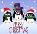 Merry Christmas topic image 5 Royalty Free Stock Photo