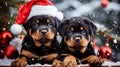 Merry Christmas! Two Rottweiler puppies lie on snow against backdrop of blurry Christmas tree decorated with toys. Snowing. One Royalty Free Stock Photo