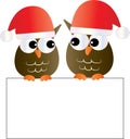 Merry Christmas two cute owls holding a placard