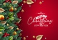 Merry christmas vector background design. Christmas tree branches with berry, flower and snowflakes ornament elements Royalty Free Stock Photo
