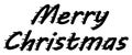 Merry Christmas vector congratulation for your posters, invitations, banners Royalty Free Stock Photo