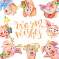 Merry Christmas watercolor card with cute funny pigs and hand drawn lettering quote Warm wishes